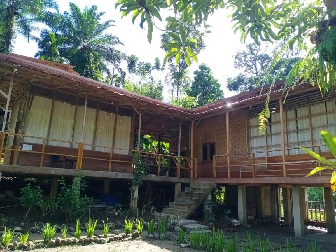 Bua Guesthouse Tangkahan Exterior photo