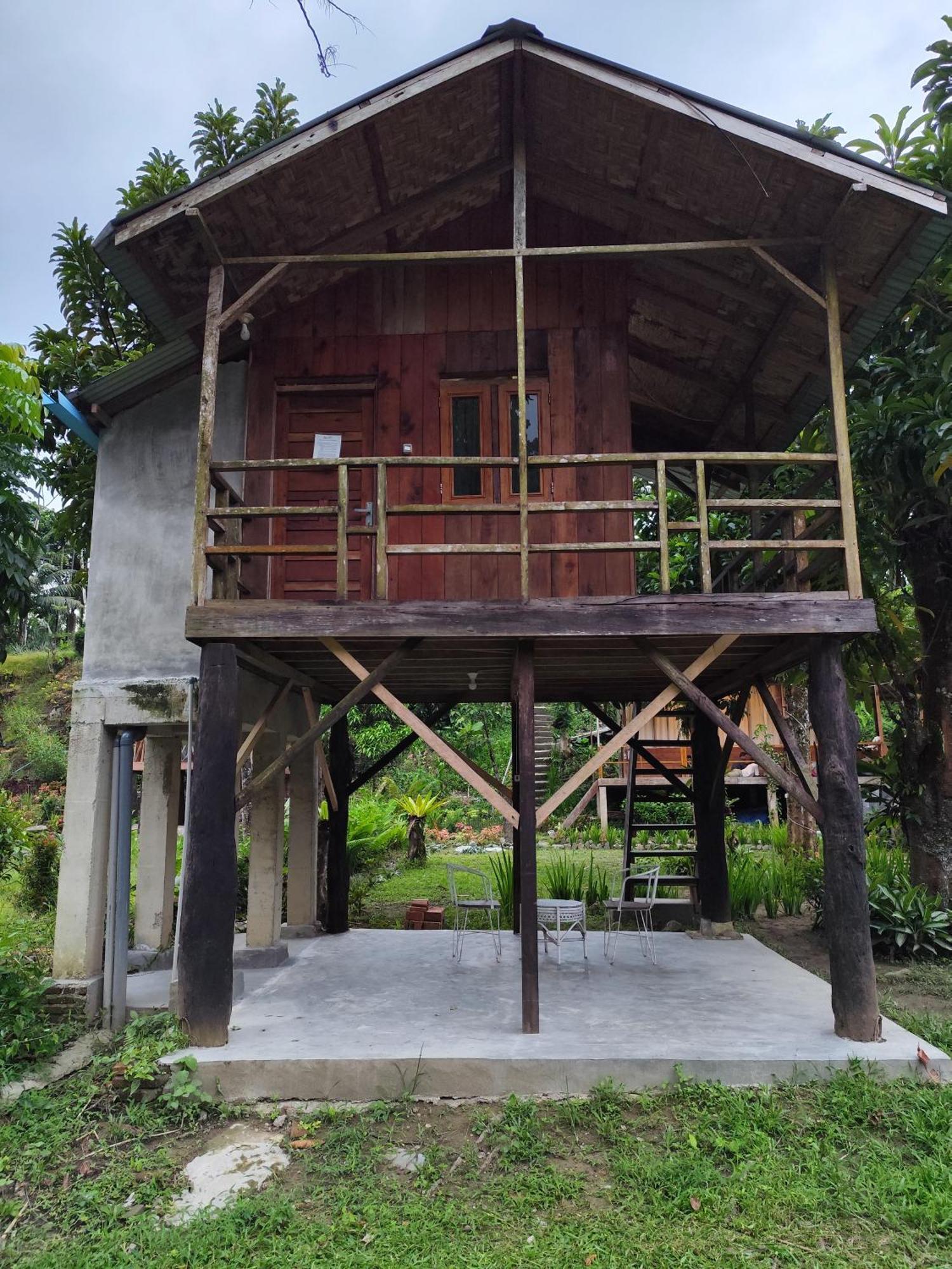 Bua Guesthouse Tangkahan Exterior photo