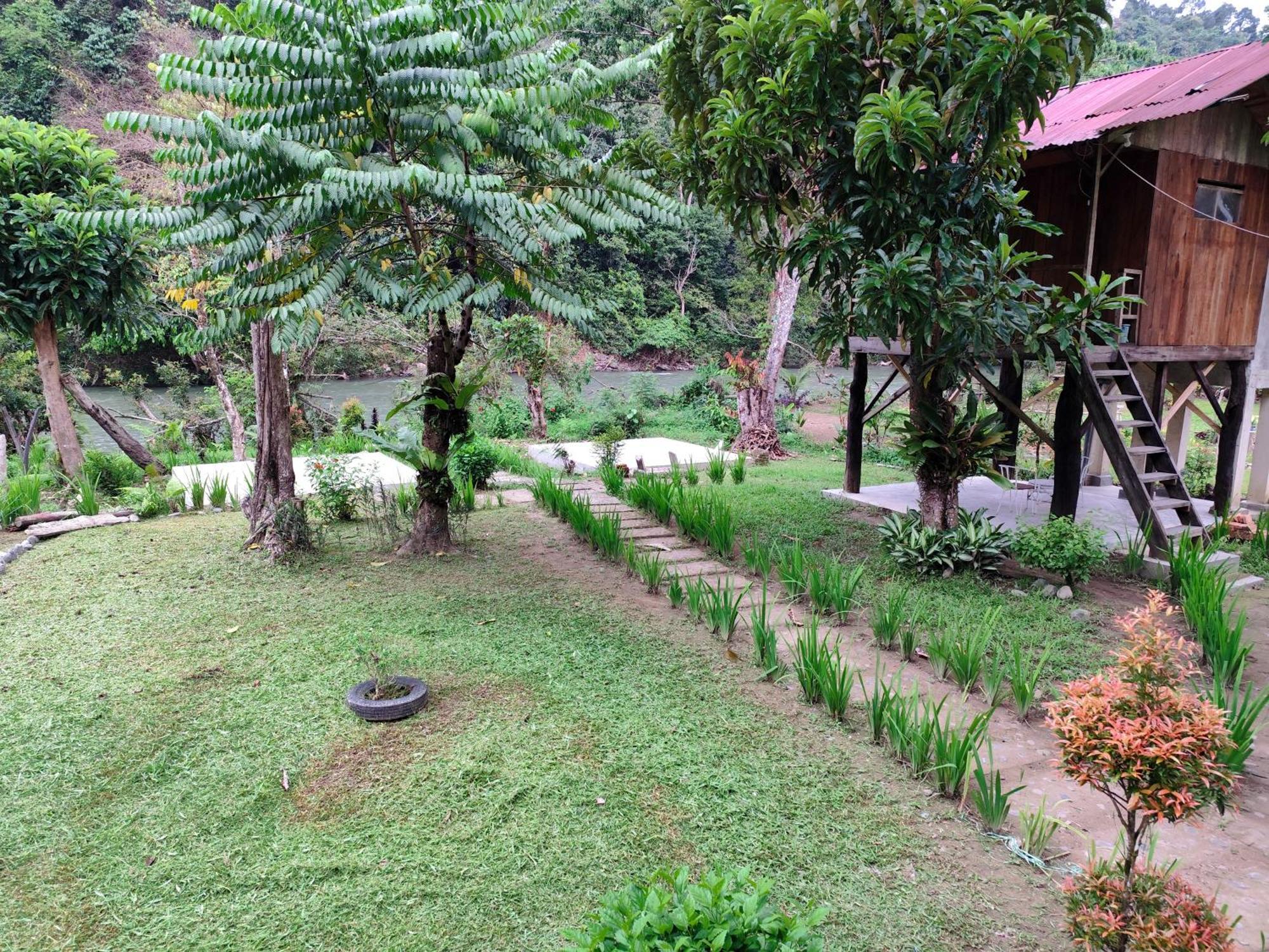 Bua Guesthouse Tangkahan Exterior photo